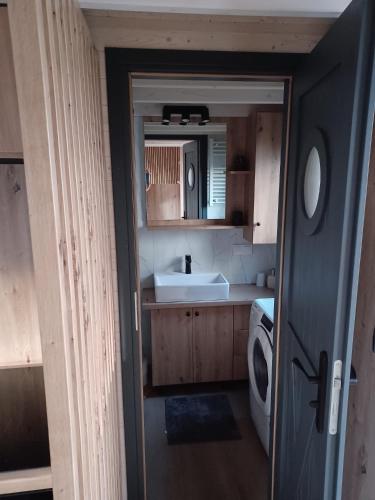 a small kitchen with a sink and a washing machine at Tiny Schwarzwald in Schopfloch