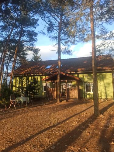 a green house with trees in front of it at Agroturystyka OLD ROAD 11 in Niedźwiedź