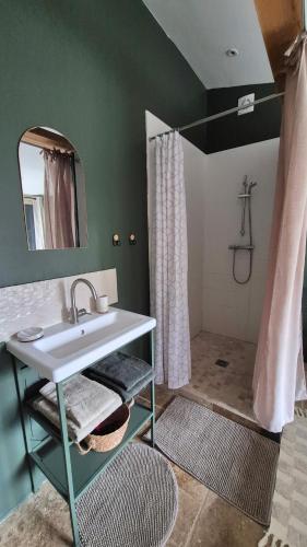 a bathroom with a sink and a shower at Les cabanons de l'Oliveraie in Pernes-les-Fontaines