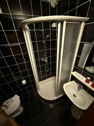 a bathroom with a shower and a toilet and a sink at Motel Haid in Linz