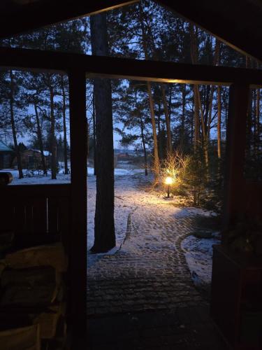 a night view of a snow covered yard with a light at Agroturystyka OLD ROAD 11 in Niedźwiedź