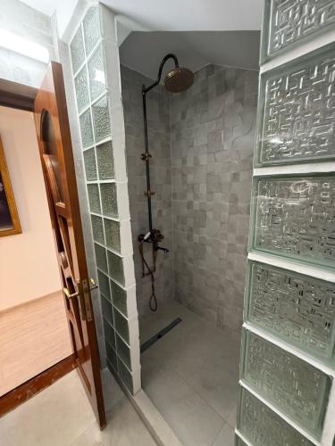 a bathroom with a shower with green glass panels at Villa Garden in Drobeta-Turnu Severin