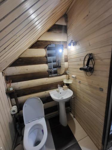 a bathroom with a toilet and a sink at Під горою in Sheshory