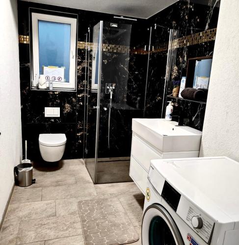 a bathroom with a toilet sink and a washing machine at Rio Home in Büsingen
