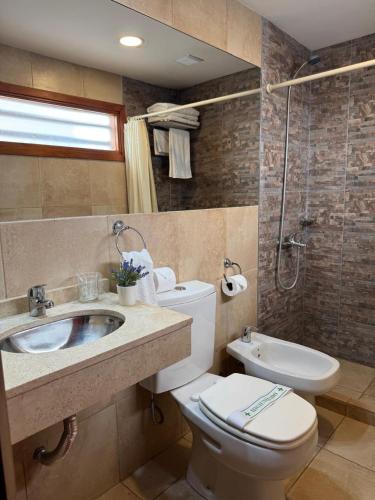 a bathroom with a toilet and a sink and a shower at Hotel L' Hirondelle in La Falda