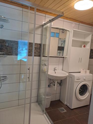 a bathroom with a washing machine and a washer at House Nordika in Rateče