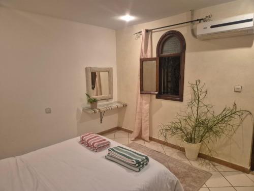 a bedroom with a bed and a mirror and a plant at sharing is caring in Tamraght Ouzdar