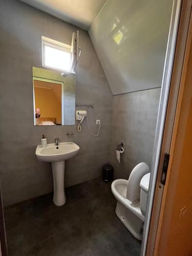 a bathroom with a sink and a toilet and a mirror at Dali`s Guest House in Lebach'e