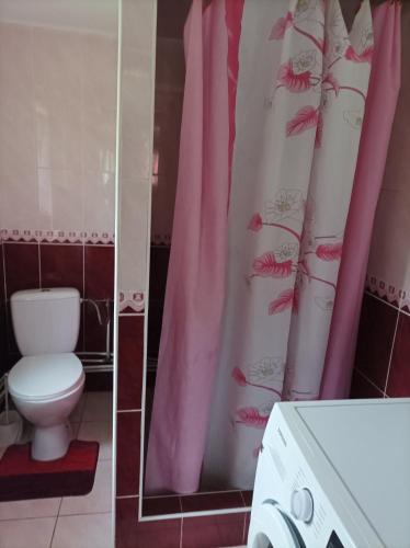 a bathroom with a toilet and pink shower curtain at Ольга in Ogrody