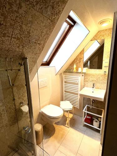 a bathroom with a toilet and a sink and a skylight at Ferienwohnung Dorle in Benneckenstein