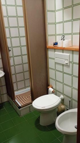 a bathroom with a toilet and a sink and a shower at Casetta mia, Pian de Valli in Terminillo