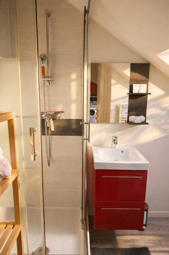 a bathroom with a sink and a shower at Le cocon San Francisco in Tours