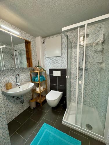 a bathroom with a shower and a toilet and a sink at Haus Anna in Köttwein