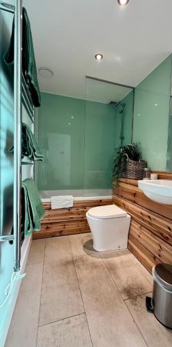 a bathroom with a toilet and a sink and a mirror at Flat 4A in Edinburgh