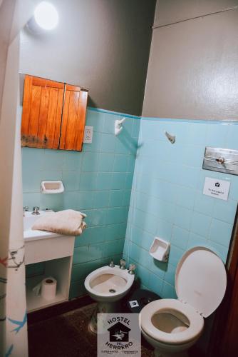a small bathroom with a toilet and a sink at HOSTEL DEL HERRERO in Apóstoles