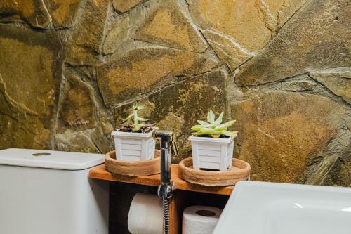 two potted plants on a table next to a stone wall at The Kimaru Cottage in Ngong