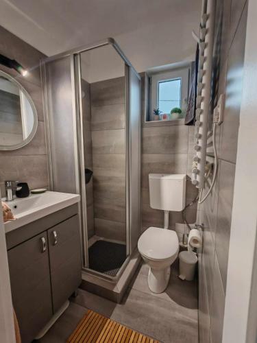 a small bathroom with a toilet and a shower at Horizon Hill in Cserszegtomaj