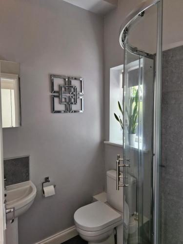 a bathroom with a toilet and a sink and a shower at Apartment in Solihull, near B'ham, NEC & Warwick in Solihull
