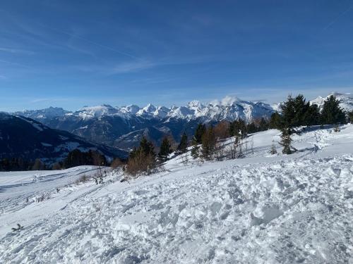 Studio Mont Rouge Veysonnaz 4 Vallées