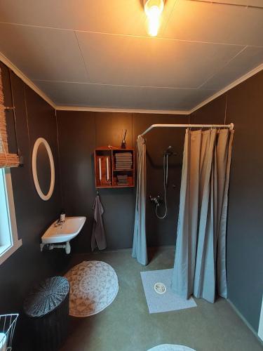 a bathroom with a shower and a sink at Llama Lodge Authentic Sunnfjord Farm in Kleivane