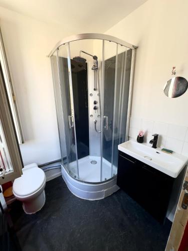 a bathroom with a shower and a toilet and a sink at petit studio atypique in Graulhet