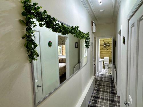 a hallway with a plant on the wall and a mirror at The Sandbed Retreat in Hawick