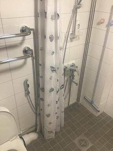 a bathroom with a shower curtain with a toilet at Hyryntie 33 as 3 in Hyrynsalmi
