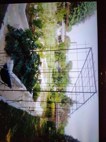 an overhead view of a garden with trees and a person at Belle villa in Bourg-de-Péage