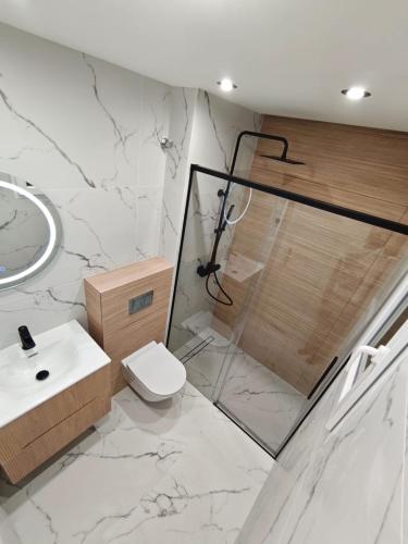 a bathroom with a shower and a toilet and a sink at Elizabeth Apartment La Mata in La Mata