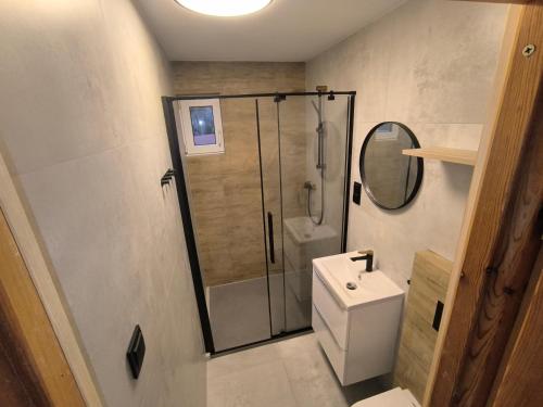 a bathroom with a shower and a toilet and a sink at Rodzinny Domek Ruś in Ruś