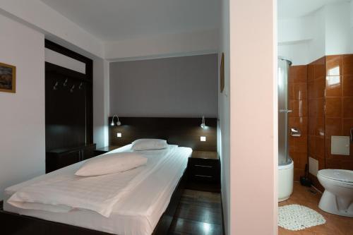 a bedroom with a large bed and a bathroom at Hotel VULTURUL Pitesti in Piteşti