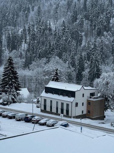 Apartmán 2 - Pstruží