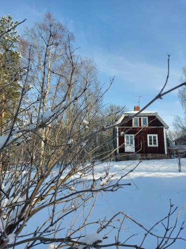 a house in the snow in front at Cottage Lake view Dalarna - Tolvsbo in Söderbärke