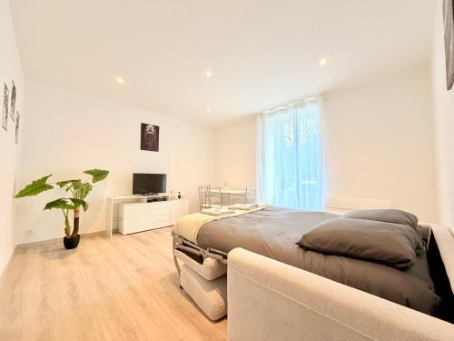 Studio Lumineux 2prsn Proche Gare Viotte