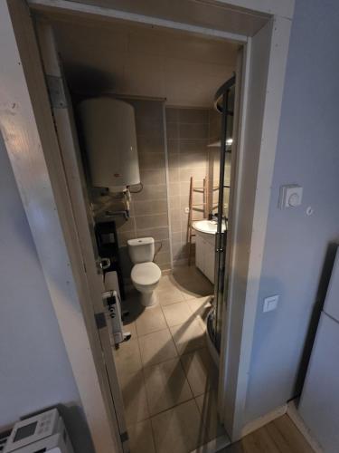 a small bathroom with a toilet and a sink at Les deux écureuils in Vresse-sur-Semois
