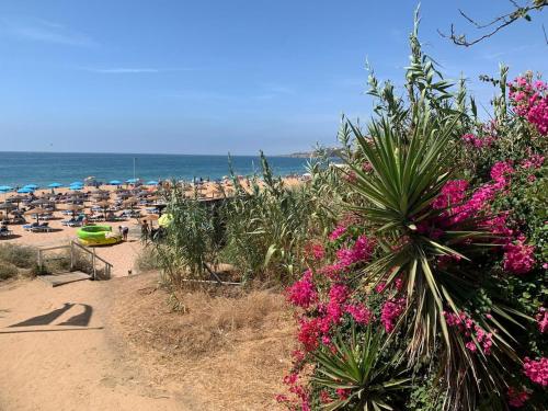 Casa Oura Praia located 100 metres from the beach