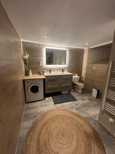 a bathroom with a sink and a washing machine at Gîte de la Couze pavin in Besse-et-Saint-Anastaise