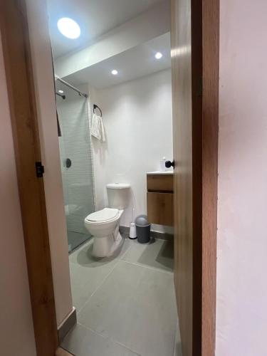 a bathroom with a toilet and a walk in shower at Apartamento familiar de 3 habitaciones con parqueadero en Paipa in Paipa