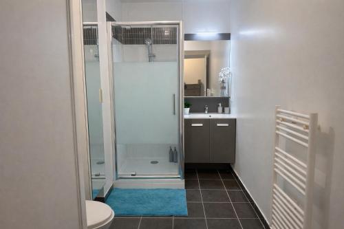 een badkamer met een douche, een toilet en een wastafel bij Le Dijonnel in Dijon