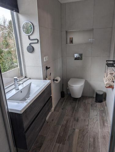 a bathroom with a sink and a toilet at Bed and Breakfast Bergs Huuske in Sint Odiliënberg