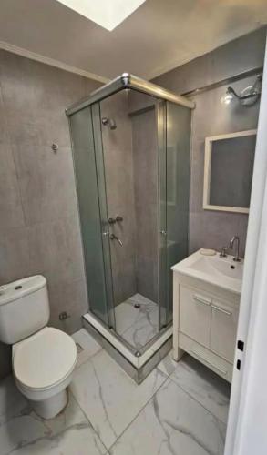 a bathroom with a shower and a toilet and a sink at Apartamentos del campus in Presidente Derqui