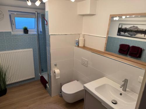 a bathroom with a toilet and a sink at Schöne Wohnung an einer Pferdeweide in Borstel