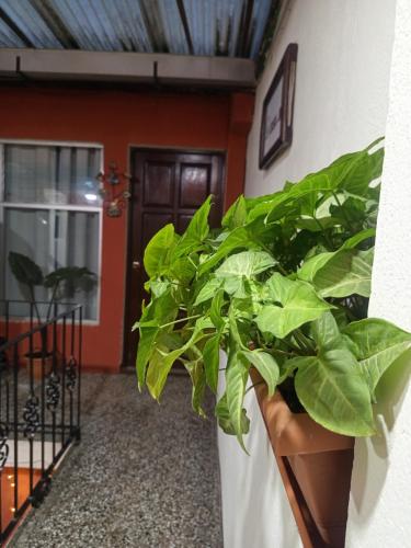 Foto de la galeria de Emma Hostel a Antigua Guatemala