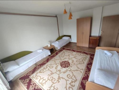 a living room with two couches and a rug at Pandora Apartments Sarajevo in Sarajevo