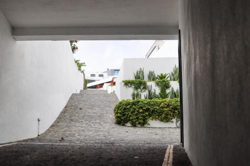 São Miguel Charming House "E" by LFC Apts