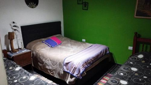 a bedroom with a bed and a green wall at tranquilidad absoluta in Villa Unión