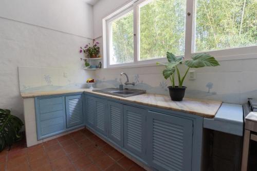 a kitchen with blue cabinets and a sink and a window at Casa Blue3 in Punta del Este