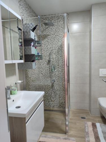 a bathroom with a shower and a sink and a toilet at Apartman BIM 58 in Banja Koviljača