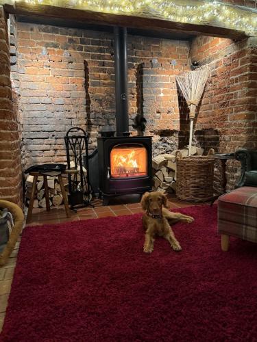 a dog sitting in a living room with a fireplace at Cosy Flint Cottage in Thurston