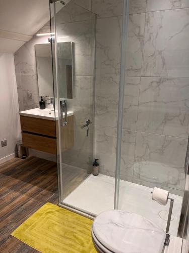 a bathroom with a shower with a toilet and a sink at L'escale Aéro Lyon in Saint-Laurent-de-Mure